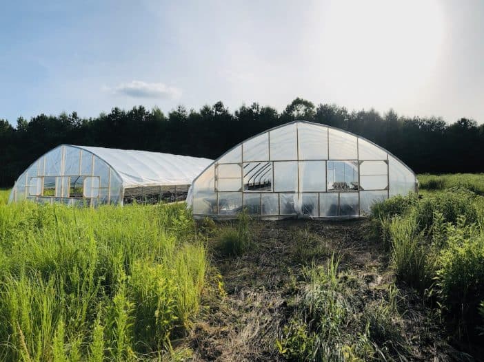 Two hoop style green houses in a grassy field